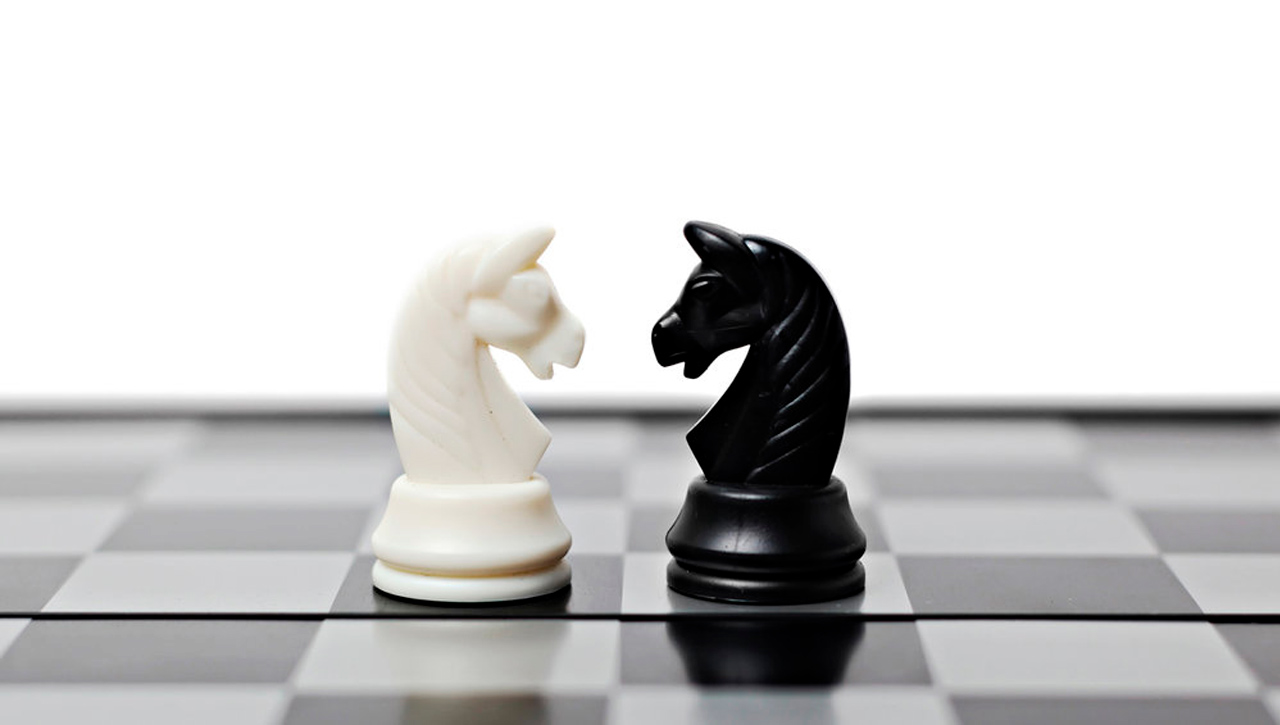 На шахматной доске осталось 5. Шахматный конь. Конь шахматы. Белый шахматный конь. Шахматный конь черный.